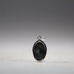 Abalone Schelp Hanger