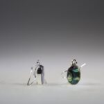 Abalone Schelp Oorhangers