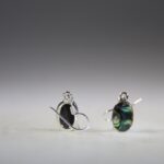 Abalone Schelp Oorhangers