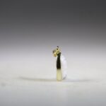 Scoleciet hanger (gold plated)
