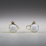 Scoleciet oorhangers (gold plated)