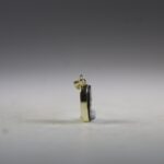 Abalone Schelp Hanger (gold plated)