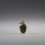 Abalone Schelp Hanger (gold plated)