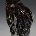 Astrofylliet