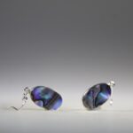 Abalone Schelp oorhangers