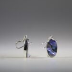 Abalone Schelp oorhangers