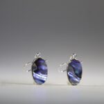 Abalone Schelp oorhangers