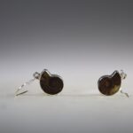 Ammoniet oorhangers