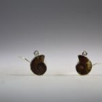 Ammoniet oorhangers