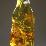 Amber uit Colombia (uitverkocht)