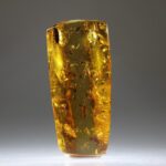 Amber uit Colombia (uitverkocht)