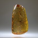 Amber uit Colombia (uitverkocht)