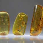 Amber uit Colombia (uitverkocht)