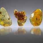 Amber uit Colombia (uitverkocht)