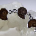 Ammoniet armband
