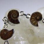 Ammoniet armband