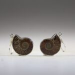 Ammoniet oorhangers