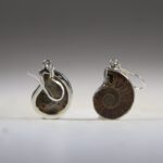 Ammoniet oorhangers