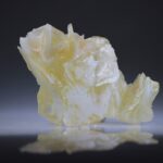 Angel Wing Calciet