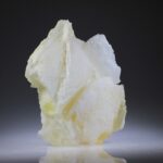 Angel Wing Calciet