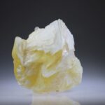 Angel Wing Calciet