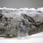 Apofylliet (Zeegroene) met Stilbiet en daarop Calciet kristalletjes (Realisatie)