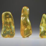 Amber (Barnsteen)