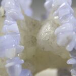 Blauwe Chalcedoon armbandje