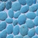 Blauwe Hemimorfiet
