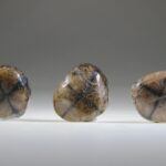 Chiastholiet