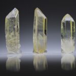 Citrien Lemurian