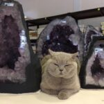 Amethist Geode