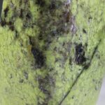 Groene Opaal Freeform uit Madagaskar