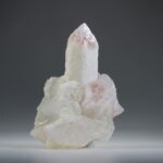 Sugar Scarlet Temple Lemurian  (Healing Heart)