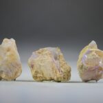 Versteend Hout met Opaal uit Australië