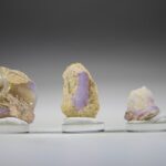 Versteend Hout met Opaal uit Australië