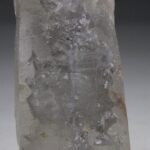 Innovation crystal (Lemurians met zilverkleurige coderingen)
