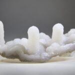 Koraal Chalcedoonkwarts