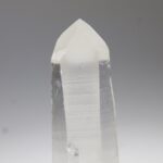 Lemurian
