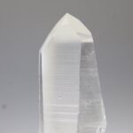 Lemurian
