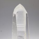 Lemurian