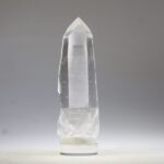 Lemurian