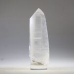 Lemurian