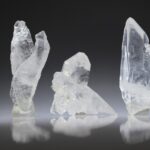 Self healer(zelfhelend), floater en dubbeleinder