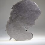 Medusa van Zilver Obsidiaan