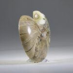 Nautilus Fossiel, Madagaskar (doorgezaagde helft)