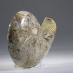 Nautilus Fossiel, Madagaskar (doorgezaagde helft