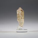 Gouden Enhydro kristal of Petroleumkwarts