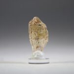 Gouden Enhydro kristal of Petroleumkwarts