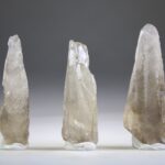 Rookcitrien Code Keeper of Freedom (Root of Lemurian)